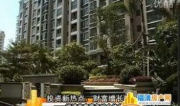 网友爆料河津楼盘视频,品质与价格背后的真相